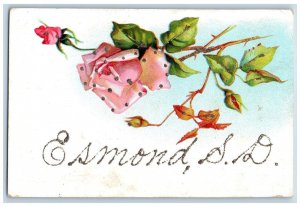 Esmond South Dakota SD Postcard Flowers Rose Glitter 1908 Vintage Antique Posted