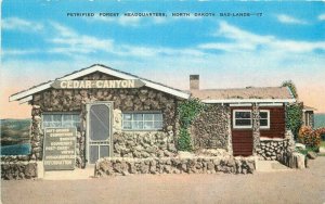 North Dakota Badlands Petrified Forest Headquarters #17 1940s Postcard 21-7921