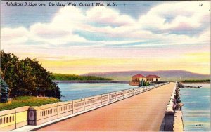 Postcard BRIDGE SCENE Catskill Mountains New York NY AL0019