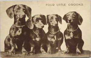 Four Little Crooks Dogs Dachshund Dog 1908 Pakenham & Ottawa Cancel Postcard H61