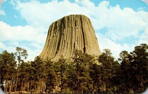 Wyoming Devils Tower National Park The Devils Tower