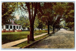 c1910's Chesnut Street Looking East Rhinebeck New York NY Antique Postcard