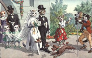 Animal Fantasy Mainzer No. 4938 Cat Wedding Photographer Old Camera PC