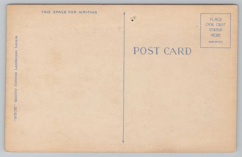 Courtland Kansas~Cows in Meadow~Cattle Pasture~1940s Linen Postcard