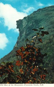 Vintage Postcard Old Man of the Mountains Ice Age Franconia Notch New Hampshire