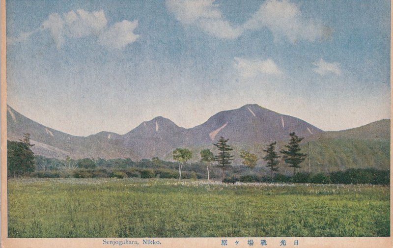 Senjogahara Nikko Mountains Rare Old Japanese Postcard