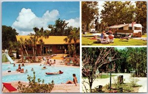 Holiday Travel Park Leesburg Florida Resort Camping And Swimming Pool Postcard