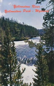 Yellowstone River, Yellowstone Park, Wyoming PC8056