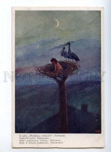 189395 ANGEL Boy astronomer STORK by CIECZKIEWICZ Vintage PC