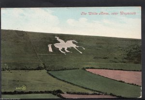 Dorset Postcard - The White Horse, Near Weymouth    RT1584