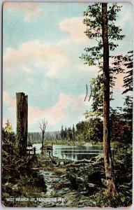 1961 West Branch Of Penobscot Maine River View Trails And Trees Posted Postcard