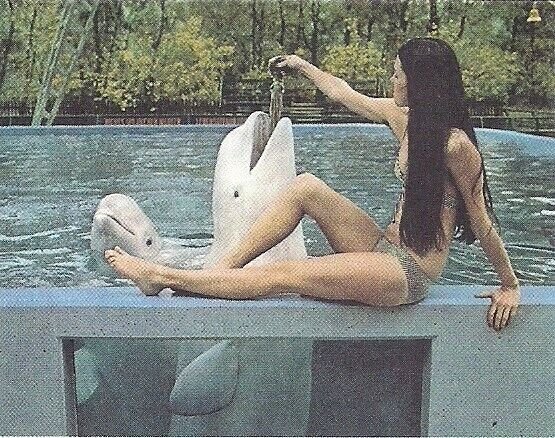 Beautiful Woman Feeding White Whale, Beluga, Duisburg, Germany, Swimsuit, Zoo