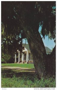 Exterior of Belin Memorial Methodist Church, Tree Moss, Murrells Inlet, South...