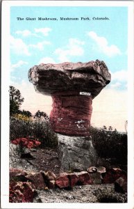 The Giant Mushroom, Mushroom Park Colorado Vintage Postcard C214