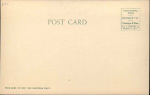 Wesier ID New Union Depot RR Train Station c1905 Postcard