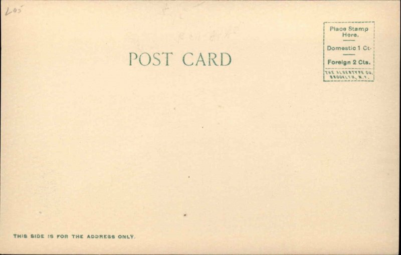 Wesier ID New Union Depot RR Train Station c1905 Postcard