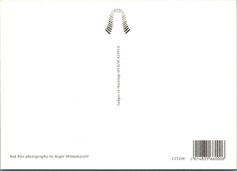 Animals Postcard - Birds - A Red Kite Ref.SW9956