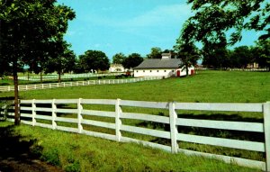 Kentucky Lexington Picturesque Horse Farm