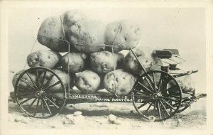 William H. Martin exaggeration Potatoes Grow Big in Our State Limestone Maine 