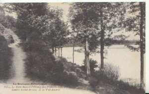 France Postcard - Le Petit Bois Et L'Etang Des Ponts-Neufs - TZ11925