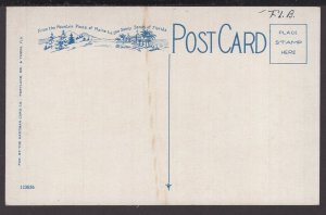 Strawberries Growing in Florida - WB