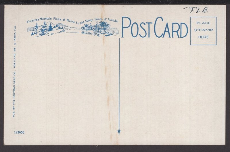 Strawberries Growing in Florida - WB