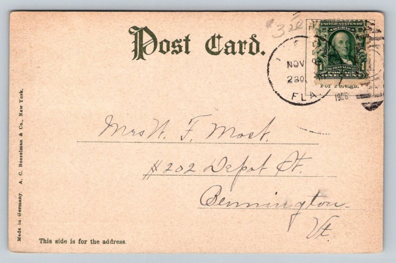 1906  The Royal Poinciana  Palm Beach  Florida   Postcard