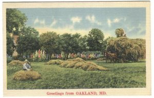 Postcard Greetings from Oakland MD Maryland