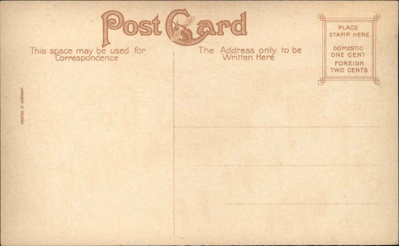 UTICA NEW YORK NY Trolley Streetcar Street Scene CIRCUS PARADE Postcard