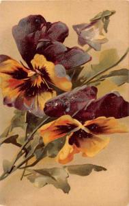 Greetings Purple Yellow Pansies Flowers Signed Klein Antique Postcard J52479