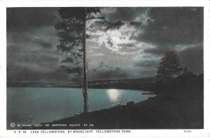 Yellowstone National Park Lake Yellowstone by Moonlight Wyoming