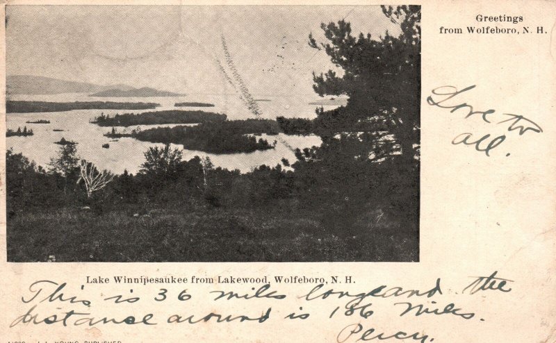 Vintage Postcard Lake Winnipesaukee From Lakewood Wolfeboro New Hampshire N.H.