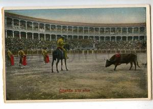 187574 SPAIN CORRIDA Picador Matador BULL FIGHT Vintage PC