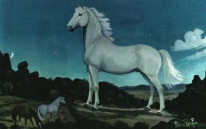 Vintage Postcard White Stallion in the Moonlight Horse Pub. Bob Petley