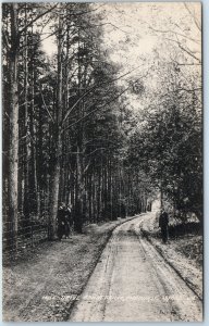 c1910s Mice Drive Midhurst, England Forest Road Path Tall Trees A364