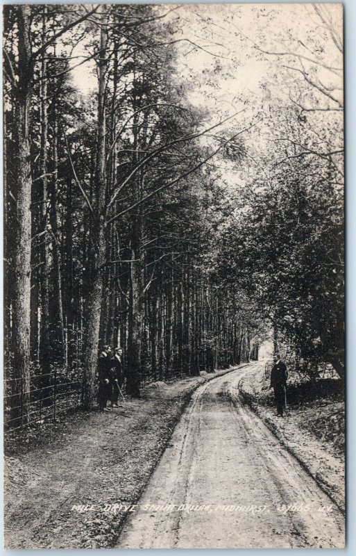 c1910s Mice Drive Midhurst, England Forest Road Path Tall Trees A364