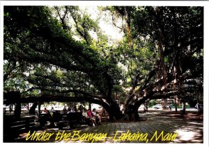 Maui HI Hawaii   LAHAINA BANYAN TREE In TOWN SQUARE   2004 4X6 Postcard