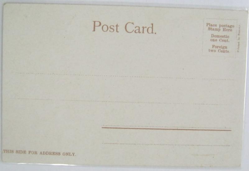 Menagerie Central Park NYC NY Undivided Back