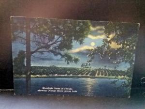 Postcard  Moonlight Scene in Florida showing Orange Grove acroos Lake. Z1