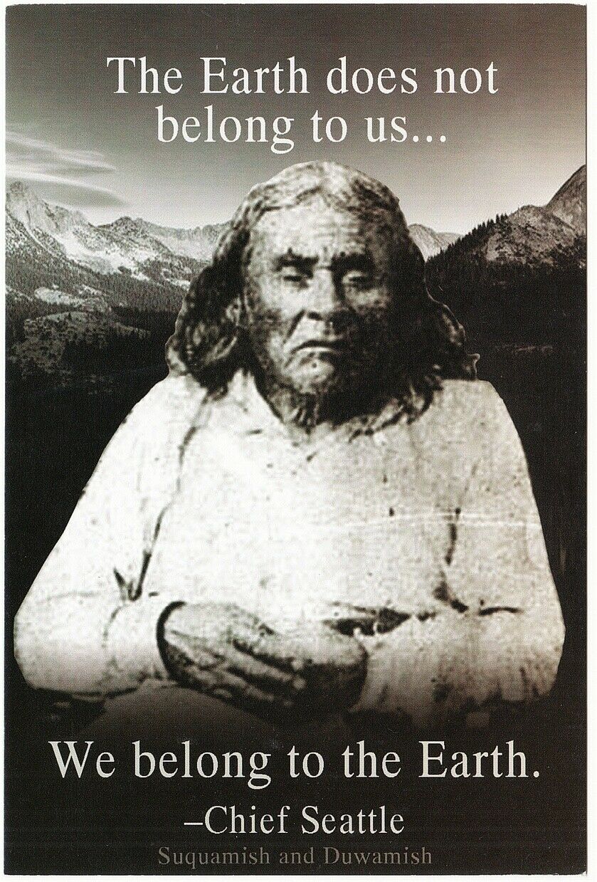 Chief Seattle We Belong to the Earth Native American Quote