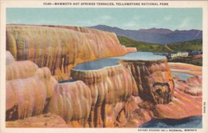 Mammoth Hot Springs Terraces Yellowstone National Park Curteich