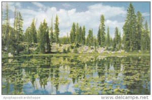 Utah Kanab Grandaddy Lakes North Eastern