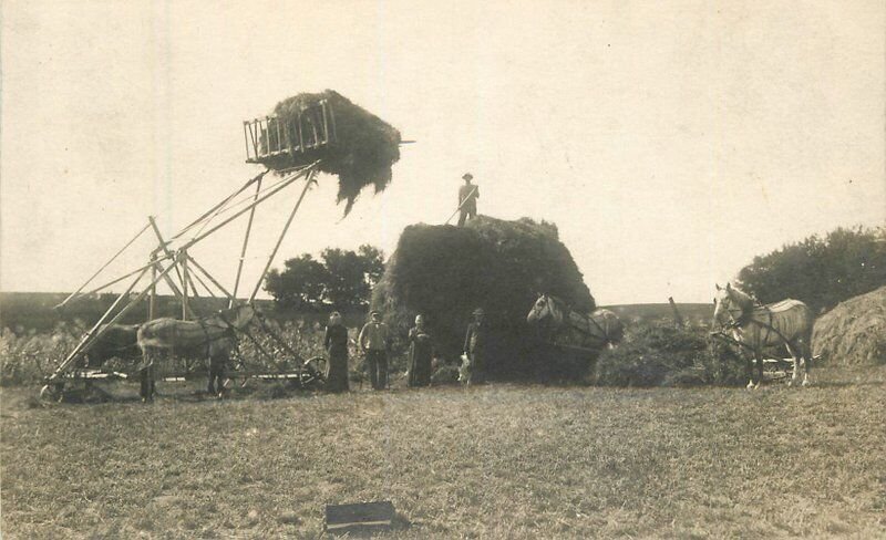 Cd-1910 Farm Agriculture Haying equipment RPPC Photo Postcard 22-7388