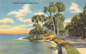 A989 US Florida's Beautiful Indian River vintage postcard