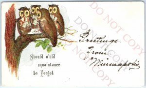 c1910s Minneapolis, MN Greetings Anthropomorphic Owls Poker Mica Glitter A153