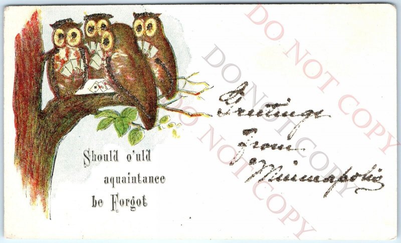 c1910s Minneapolis, MN Greetings Anthropomorphic Owls Poker Mica Glitter A153