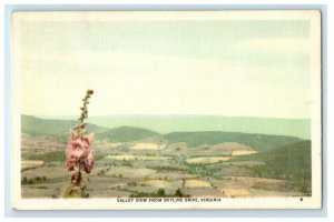 1940 Valley View From Skyline Swift Run Virginia VA Posted Vintage Postcard