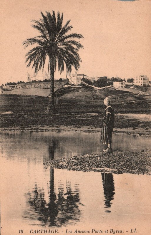 Vintage Postcard Carthage Les Anciens Ports Et Byrsa Historical landmark Tunisia