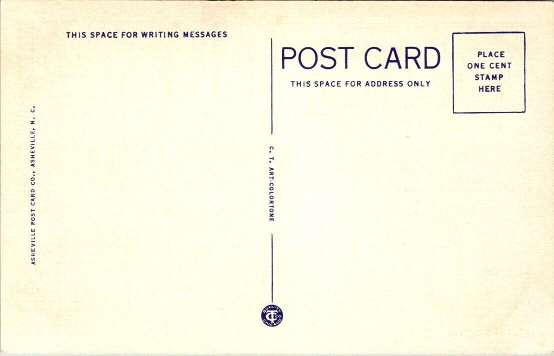 Vintage North Carolina Postcard Trees Festooned with Spanish Moss in