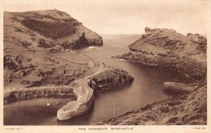 L243 England The Harbour Boscastle vintage postcard